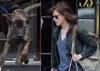 kristen stewart dog
